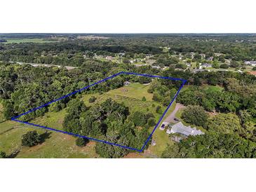 Expansive aerial view of a property with mature trees and a blue border highlighting the land at 31136 Senese Rd, Sorrento, FL 32776