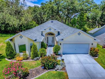 Charming single-story home with a well-maintained lawn, lush landscaping, and attached two-car garage at 17037 Se 76Th Creekside Cir, The Villages, FL 32162