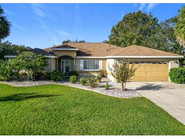 Charming single-story home featuring a well-manicured lawn and a two-car garage with clean landscaping at 13700 Se 90Th Ct, Summerfield, FL 34491