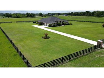 Expansive home showcasing a meticulously maintained lawn and a long driveway at 29222 Can Do Ln, Tavares, FL 32778