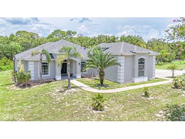 Beautiful single-story home with a lush green lawn and mature palm trees, offering great curb appeal at 32025 Timberlake Dr, Mount Dora, FL 32757