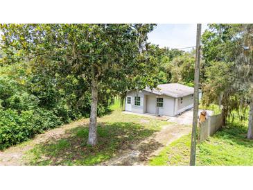 Quaint home with mature tree, offering shade and curb appeal at 1134 Cr 464, Lake Panasoffkee, FL 33538
