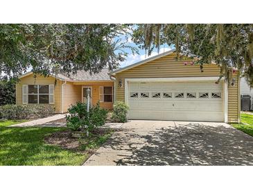 Charming home featuring an attached two-car garage and a well-maintained landscaped front yard at 3393 Woodridge Dr, The Villages, FL 32162