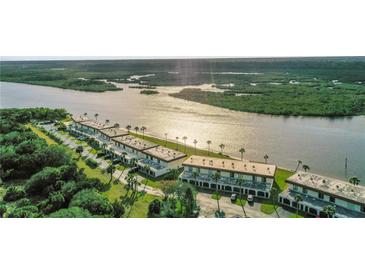 Waterfront condos offering serene views and access to waterfront activities in a landscaped community with mature trees at 14 Ocean Palm Villa S # 14, Flagler Beach, FL 32136