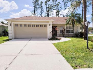 Beige house with two-car garage, landscaped lawn, and palm trees at 8052 Sugar Pine Blvd, Lakeland, FL 33810