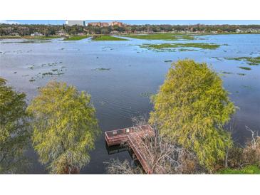 Aerial view of lakefront property with private dock and lush trees at 1130 N Lake Parker Ave # A306, Lakeland, FL 33805