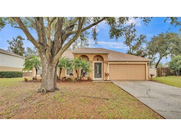 Tan house with a two-car garage and palm trees at 3445 Sleepy Hill Oaks St, Lakeland, FL 33810