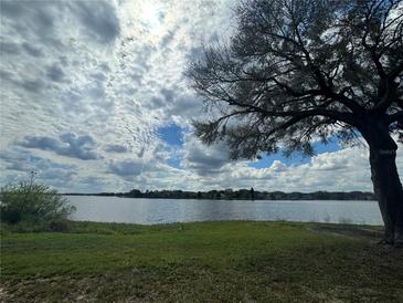 Scenic lake view with a mature tree on the right and cloudy sky above at 330 Callitris Ave, Polk City, FL 33868