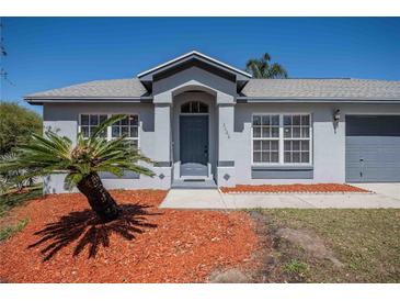 Charming single-story home featuring a front door with sidelights, surrounded by manicured landscaping and a modern color scheme at 3166 Valley Vista Cir, Lakeland, FL 33812