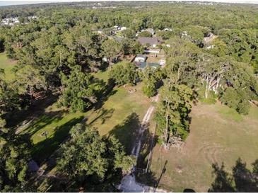 Expansive aerial view of a lush, green property, surrounded by mature trees and showcasing a serene, rural setting at 3233 Gardner Rd, Lakeland, FL 33810
