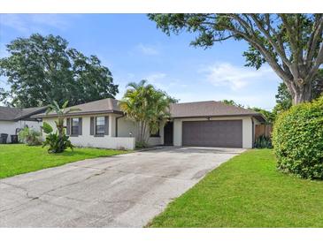 Charming single-story home featuring a two-car garage, well-maintained lawn and tropical plants at 4219 Sunny Land Dr, Lakeland, FL 33813