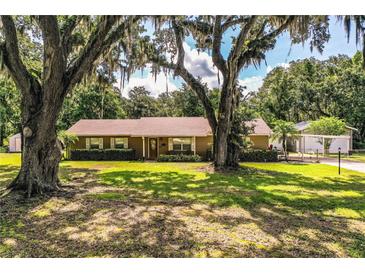 Charming home with a well-manicured lawn and beautiful mature shade trees at 6920 Newman E Cir, Lakeland, FL 33811