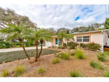 Neatly landscaped front yard with palm trees and well-maintained shrubs at 810 E 9Th Ave, New Smyrna Beach, FL 32169