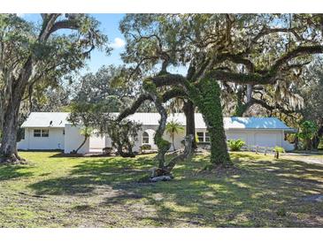 Ranch-style home with a metal roof, large oak trees, and a spacious yard at 384 W Ariel Rd, Edgewater, FL 32141