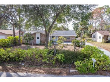 Brick house with mature landscaping, large yard, and driveway at 3120 Pine Tree Dr, Edgewater, FL 32141