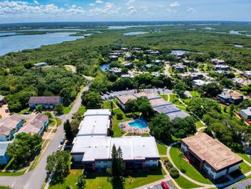 Scenic aerial view of community with lush greenery and waterfront views at 3800 Saxon Dr # 250, New Smyrna Beach, FL 32169