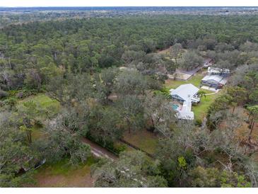 Expansive property with mature trees, home, guest house, pool, and pasture, set against a backdrop of a lush forest at 1715 Fern Park Dr, Port Orange, FL 32128