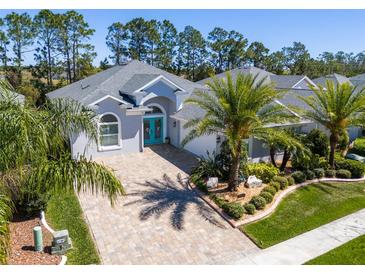 Stunning home featuring a tiled driveway, manicured landscaping, and a vibrant blue double-door entrance at 3045 Borassus Dr, New Smyrna Beach, FL 32168