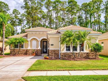 Charming single-story home featuring a tile roof, stone accents, and a well-manicured lawn with palm trees at 3455 Pegaso Ave, New Smyrna Beach, FL 32168