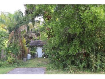 View of the small backyard shed that needs some TLC, surrounded by lush greenery and palm trees at 110 Crowell St, Port Orange, FL 32127