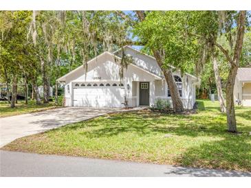 Charming single-story home with a well-maintained lawn and an attached two-car garage at 2822 Brookline Ave, New Smyrna Beach, FL 32168