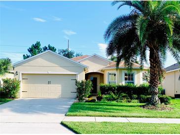 Charming single-story home with a lush front yard and a well-maintained lawn at 2672 Star Coral Ln, New Smyrna Beach, FL 32168