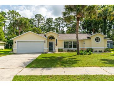 Charming single-story home featuring a well-manicured lawn, attached garage, and inviting front entrance at 4623 Secret River Trl, Port Orange, FL 32129
