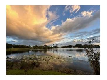 Scenic lake view with lily pads and a picturesque sky in the background at sunset at 119 Lake Dr, Oviedo, FL 32765