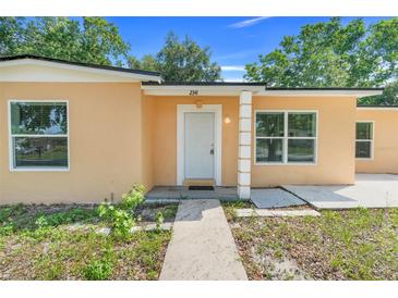 Close-up of the front door and exterior features including the house number at 2341 Hadley St, Deltona, FL 32738