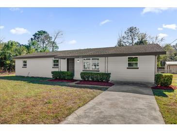 Newly renovated single story home with landscaped lawn and driveway at 3650 Se 140Th Pl, Summerfield, FL 34491