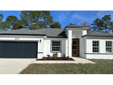 New construction home with two-car garage, modern front door and landscaping at 6579 Sw 132Nd St, Ocala, FL 34473