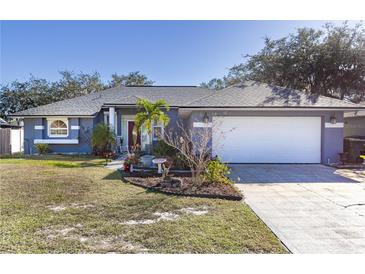 One-story home with a white garage door and landscaped yard at 1325 Paperwoods Dr, St Cloud, FL 34772