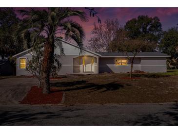 Updated single-story home with a landscaped yard at 16247 Lake Johns Cir, Winter Garden, FL 34787