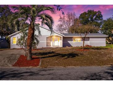 Newly renovated single-story home with a landscaped yard and palm tree at 16247 Lake Johns Cir, Winter Garden, FL 34787