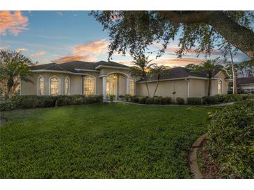 Beautiful one-story home with a large green lawn and mature trees at 107 Alexandra Woods Dr, Debary, FL 32713