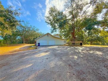 Detached two-car garage with ample parking space at 2827 Sanctuary Ln, Winter Garden, FL 34787
