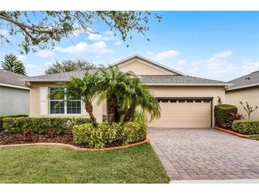 Tan house with palm trees, landscaped yard, and brick paver driveway at 3667 Caladesi Rd, Clermont, FL 34711