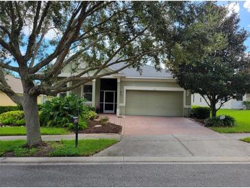 One-story house with green exterior, brick driveway, and mature trees at 370 Silver Maple Rd, Groveland, FL 34736