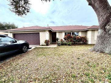 Single-story home with brown roof and attached garage, landscaping, and a large tree in the front yard at 2752 Ceram Ave, Orlando, FL 32837