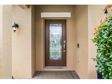 Inviting front door with decorative glass accents at 4706 Rockvale Dr, Kissimmee, FL 34758