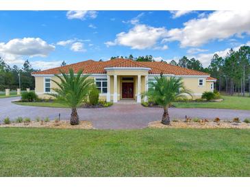 Beautiful 1-story home with tile roof and palm trees at 19115 Palmview St, Orlando, FL 32833