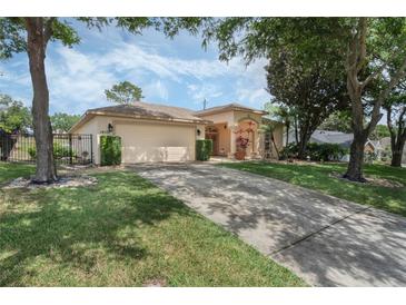 Charming single-story home with a well-maintained lawn, mature trees, and an attached two-car garage at 14101 Vista Del Lago Blvd, Clermont, FL 34711