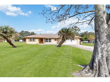 Ranch style home with spacious lawn and mature trees at 2643 Borinquen Dr, Kissimmee, FL 34744