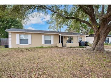 Tan house with blue door, white shutters, and a large tree in the front yard at 1404 Adair St, Ocoee, FL 34761