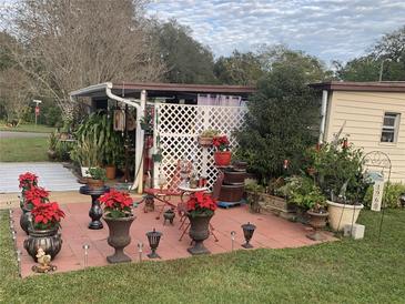 Relaxing patio with potted plants and brick flooring at 1960 Pinewood Ln, Mount Dora, FL 32757