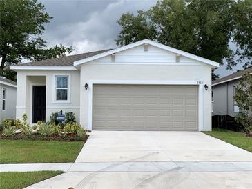 One story home with attached garage and landscaped front yard at 2523 Avalon Park Blvd, Tavares, FL 32778