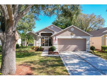 Attractive single-story house with landscaped lawn and driveway at 3713 Doune Way, Clermont, FL 34711