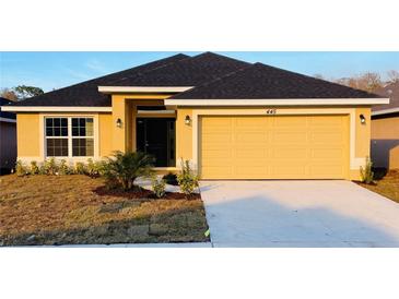 Newly constructed single-story house with a two-car garage and manicured lawn at 4464 Sagefield Dr, Harmony, FL 34773