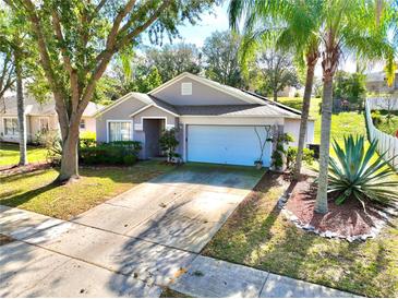 Charming single-story home with a well-manicured lawn, mature trees, and a two-car garage, set in a tranquil neighborhood at 2029 Knollcrest Dr, Clermont, FL 34711