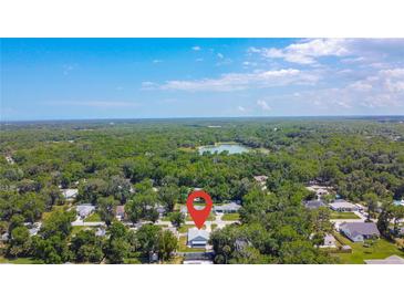 Aerial view of a home nestled amidst lush greenery and a tranquil lake at 2243 Davis Dr, New Smyrna Beach, FL 32168